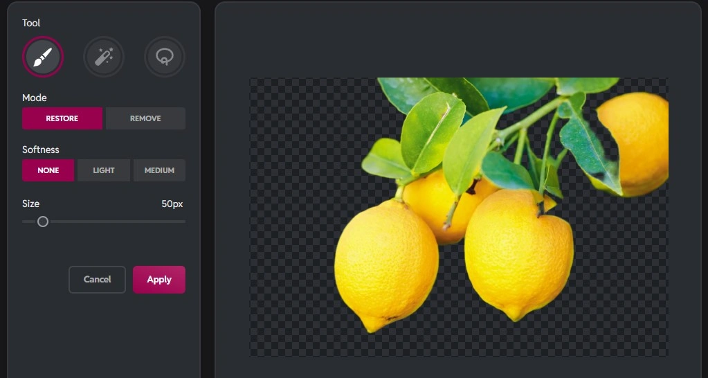 step 5 remove bg fine tune